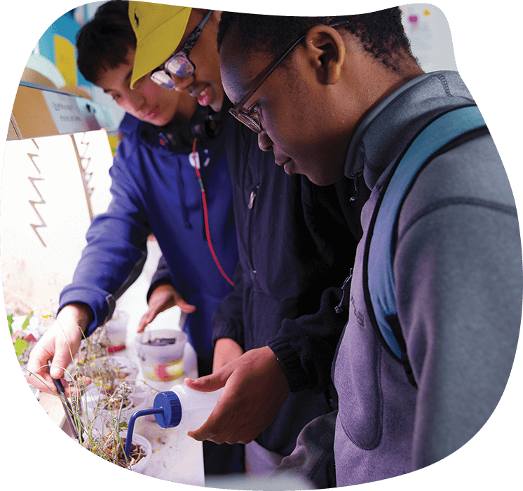 Summit students working in a science lab growing plant