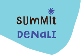 Summit Denali